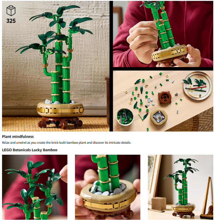 best plant decoration Review