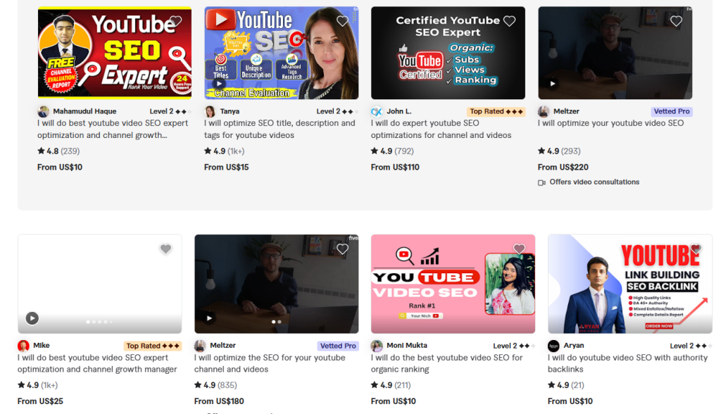 best youtube SEO Review